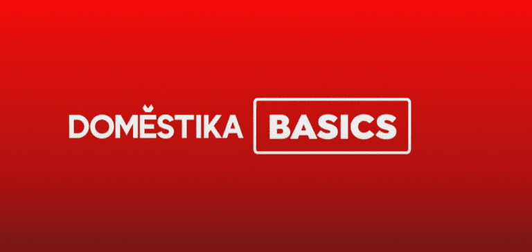 Domestika Basics: Unleash Your Creative Potential with Comprehensive Courses