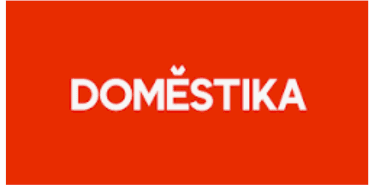 Domestika Access & User Experience: An In-Depth Guide to the Creative Learning Platform